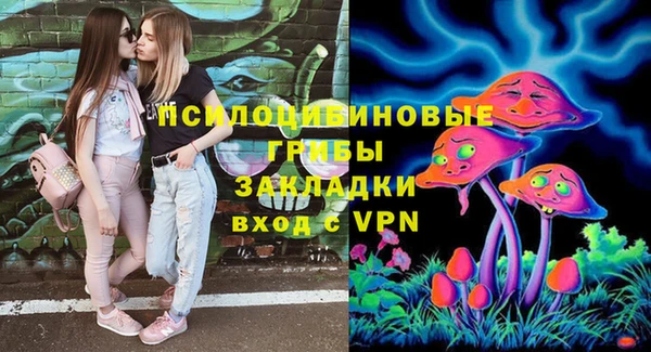МДПВ Абинск