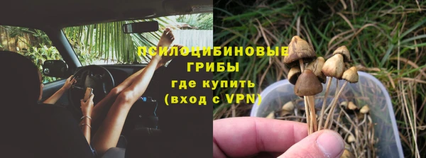 МДПВ Абинск